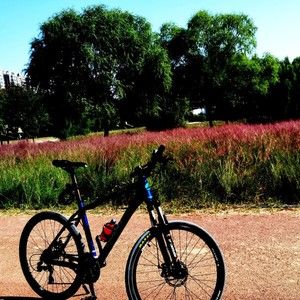 Meet your Posher, Lorenzo